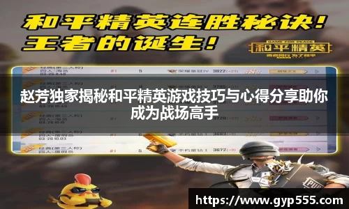 小艾电竞平台官方网