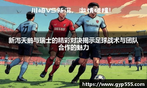 小艾电竞平台官方网