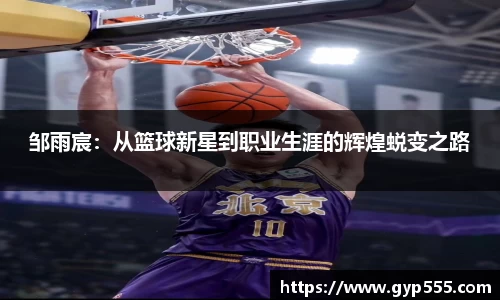 小艾电竞平台官方网