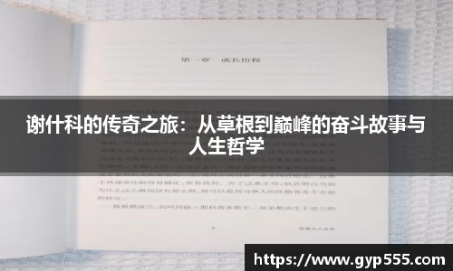 小艾电竞平台官方网
