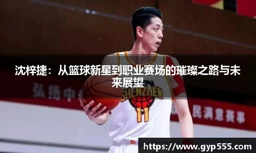小艾电竞平台官方网